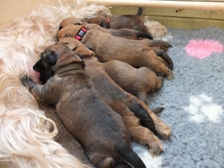 14. 5. 2022 se nm narodilo 9 tat