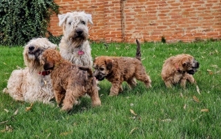 Vechna tata, vrh B, jsou ve svch novch domovech